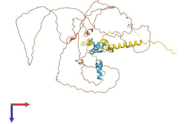 SP9 Protein (AA 1-484) (His tag)