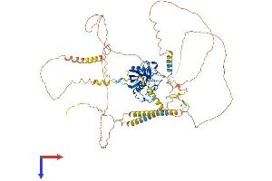 PPIG Protein (AA 1-754) (His tag)