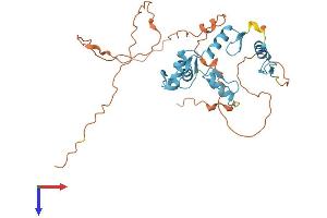 SCRT2 Protein (AA 1-311) (His tag)