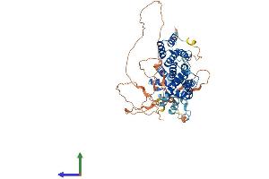 Protein Structure (PS) image for TAF6-Like RNA Polymerase II, P300/CBP-Associated Factor (PCAF)-Associated Factor, 65kDa (TAF6L) (AA 1-616) protein (His tag) (ABIN7559694)