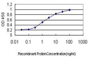 Detection limit for recombinant GST tagged MYNN is approximately 0. (Myoneurin Antikörper  (AA 501-610))