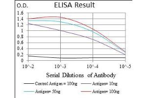 Black line: Control Antigen (100 ng), Purple line: Antigen(10 ng), Blue line: Antigen (50 ng), Red line: Antigen (100 ng), (Cytokeratin 5 Antikörper  (AA 316-590))