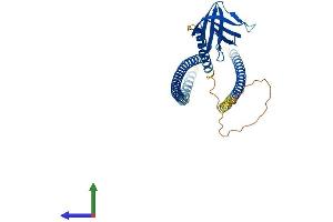 Protein Structure (PS) image for Homer Homolog 3 (Drosophila) (HOMER3) (AA 1-361) protein (His tag) (ABIN7548337)