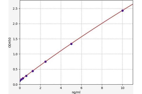 MMP24 ELISA Kit