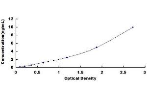 Typical standard curve (WNT2B ELISA Kit)