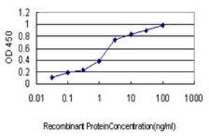 Detection limit for recombinant GST tagged USP9X is approximately 0. (USP9X Antikörper  (AA 1-90))