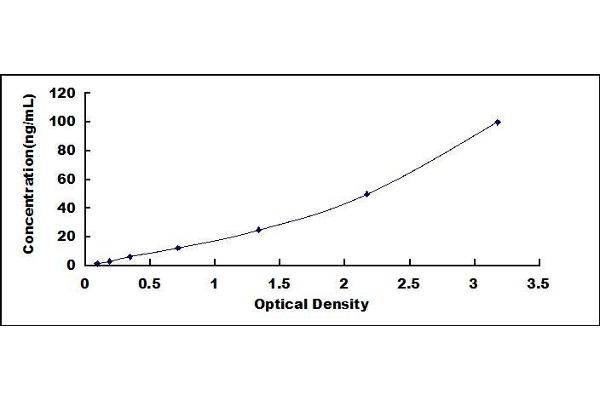 PZP ELISA Kit