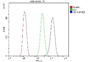 Flow Cytometry analysis of U20S cells using anti-R Cadherin/CDH4 antibody (ABIN6719392).