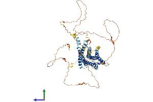 Protein Structure (PS) image for G Protein-Coupled Receptor 123 (GPR123) (AA 1-560) protein (His tag) (ABIN7552073)