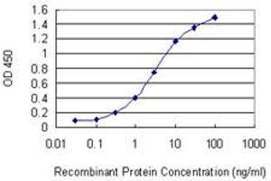 Detection limit for recombinant GST tagged CPNE5 is 0. (Copine V Antikörper  (AA 393-450))