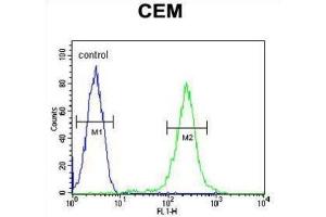 Flow Cytometry (FACS) image for anti-Complement Factor P (CFP) antibody (ABIN3004386) (CFP Antikörper)