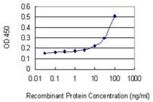 Detection limit for recombinant GST tagged GZMA is 3 ng/ml as a capture antibody. (GZMA Antikörper  (AA 41-141))