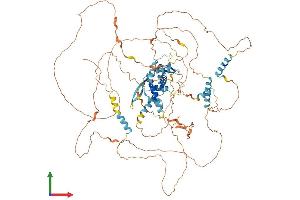 Protein Structure (PS) image for E2F Transcription Factor 8 (E2F8) (AA 1-860) protein (His tag) (ABIN7563796)