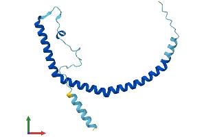 Protein Structure (PS) image for Caveolin 3 (CAV3) (AA 1-151) protein (His tag) (ABIN7563384)