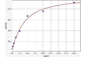Surfactant Protein C (SFTPC) ELISA Kit