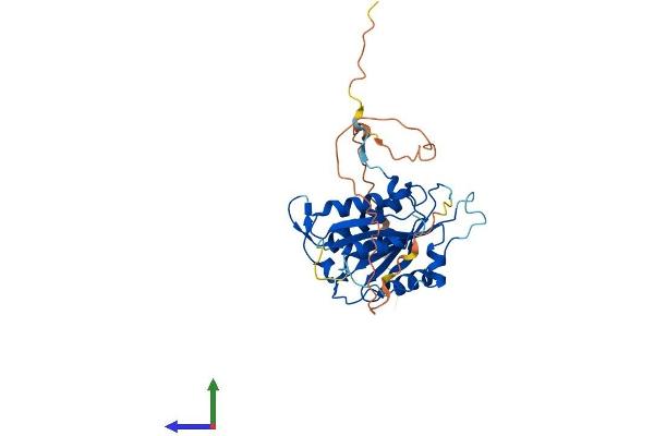 BRISC and BRCA1 A Complex Member 1 (BABAM1) (AA 1-333) protein (His tag)