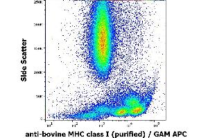 Flow cytometry surface staining pattern of bovine peripheral whole blood stained using anti-bovine MHC ClassI (IVA26) purified antibody (concentration in sample 10 μg/mL) GAM APC. (MHC Class I (Alpha+beta2m Chains) Antikörper)