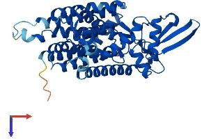 DPAGT1 Protein (AA 1-408) (His tag)