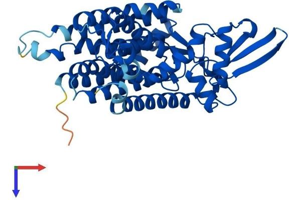 DPAGT1 Protein (AA 1-408) (His tag)