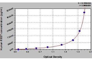 REST ELISA Kit