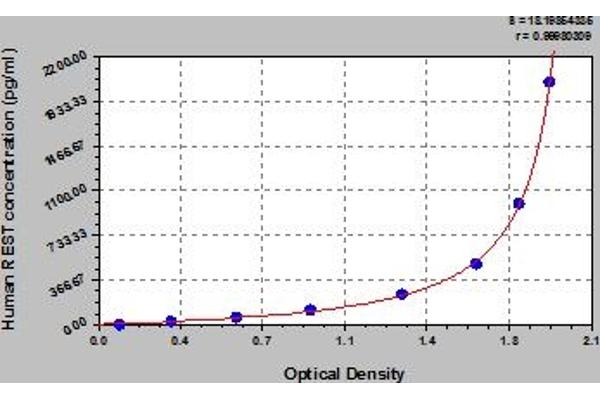 REST ELISA Kit