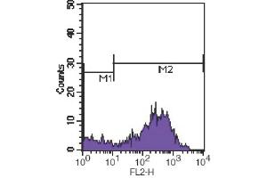 Flow Cytometry (FACS) image for anti-CD7 (CD7) antibody (PE) (ABIN2144765) (CD7 Antikörper  (PE))