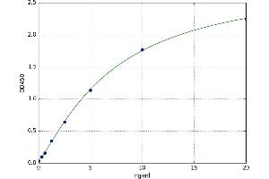Defensin beta 4 (DEFB4) ELISA Kit