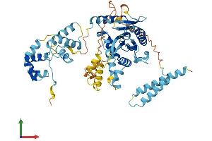 TIGD2 Protein (AA 1-525) (His tag)