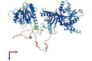 CHPF Protein (AA 1-775) (His tag)