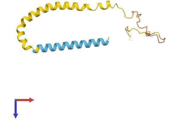 beta Synuclein Protein (AA 1-134) (His tag)