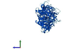 Protein Structure (PS) image for Peptidyl Arginine Deiminase, Type I (PADI1) (AA 1-662) protein (His tag) (ABIN7556377)