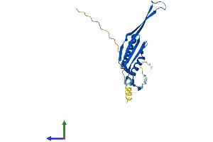 Protein Structure (PS) image for Mitochondrial Ribosomal Protein S10 (MRPS10) (AA 1-201) protein (His tag) (ABIN7551631)