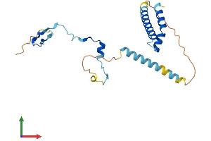 Protein Structure (PS) image for Partner of Y14 and mago (WIBG) (AA 1-204) protein (His tag) (ABIN7551167)