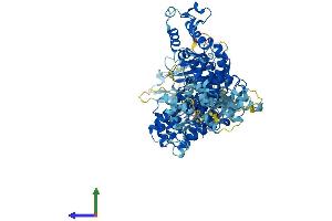 AlphaFold protein structure predicition of Mouse Recombinant Herc6 Protein, UniprotID F2Z461 (HERC6 Protein (AA 1-1003) (His tag))