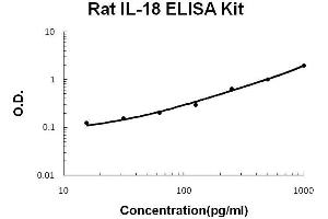 Rat IL-18 PicoKine ELISA Kit standard curve (IL-18 ELISA Kit)