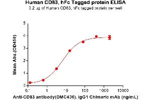 CD83 (CD83) (AA 20-143) protein (Fc Tag)