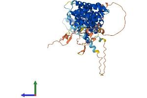 Protein Structure (PS) image for RRN3 RNA Polymerase I Transcription Factor (RRN3) (AA 1-651) protein (His tag) (ABIN7555284)