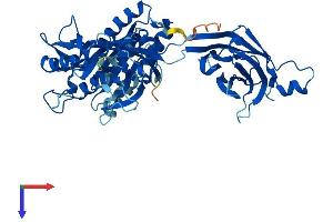 CPNE1 Protein (AA 1-536) (His tag)