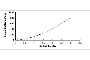 CD59 ELISA Kit