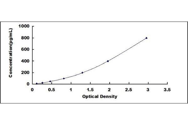 CD59 ELISA Kit