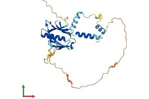Protein Structure (PS) image for Chromosome 15 Open Reading Frame 60 (C15ORF60) (AA 1-266) protein (His tag) (ABIN7551344)