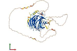 Protein Structure (PS) image for DDB1 and CUL4 Associated Factor 10 (DCAF10) (AA 1-559) protein (His tag) (ABIN7547008)