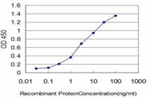 Detection limit for recombinant GST tagged FLT4 is approximately 0. (FLT4 Antikörper  (AA 34-133))