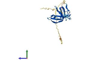 SSBP1 Protein (AA 1-212) (His tag)