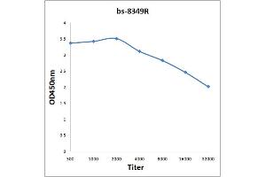 Antigen: 2 µg/100 µL  Primary: Antiserum, 1:500, 1:1000, 1:2000, 1:4000, 1:8000, 1:16000, 1:32000;  Secondary: HRP conjugated Rabbit Anti-Goat IgG at 1: 5000;  TMB staining Read the data in Microplate Reader by 450nm.