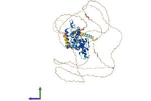 AlphaFold protein structure predicition of Human Recombinant CCNT2 Protein, UniprotID O60583