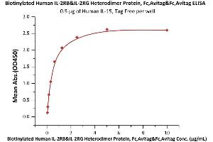 Immobilized Human IL-15, Tag Free (ABIN6386427,ABIN6388244) at 5 μg/mL (100 μL/well) can bind Biotinylated Human IL-2RB&IL-2RG Heterodimer Protein, Fc,Avitag&Fc,Avitag (ABIN6973116) with a linear range of 0.