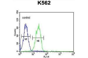 CLM1 Antibody (N-term) flow cytometric analysis of K562 cells (right histogram) compared to a negative control cell (left histogram). (IREM1 Antikörper  (N-Term))