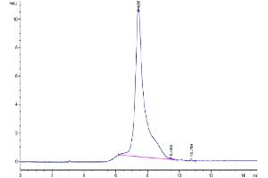 Size-exclusion chromatography-High Pressure Liquid Chromatography (SEC-HPLC) image for Leucine Rich Repeat Neuronal 1 (LRRN1) (AA 26-631) protein (His tag) (ABIN7275196)