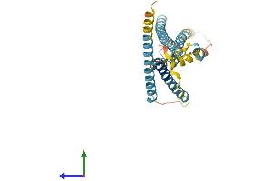 Protein Structure (PS) image for Lysosomal Protein Transmembrane 5 (LAPTM5) (AA 1-262) protein (His tag) (ABIN7548916)